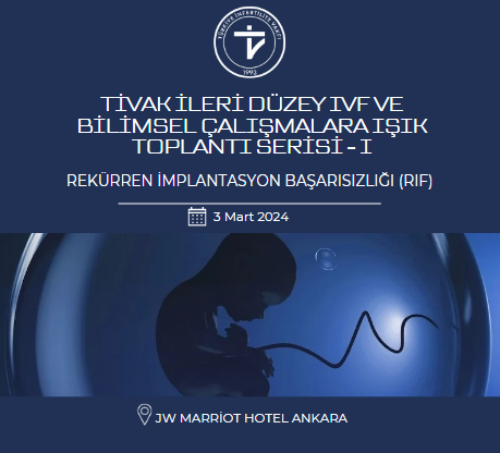 Ekran görüntüsü 2024-08-26 152125